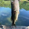 jdfishing123