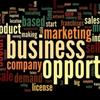 businessopportunities024