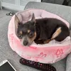 lizmcmichael59
