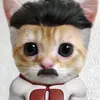 omnicat05