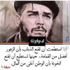 user8100690366095