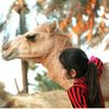 الحمدلله