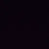 brunoo__rigo