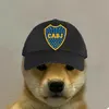 kp_alej