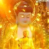 tuantranquoc721