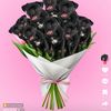 emily012234