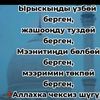 umarchik___