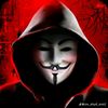 user8461668404484