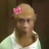 dovanphat123345561183
