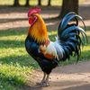 jmk_yusuf_35_