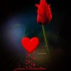 user5016119395317