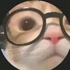 user67128530502502