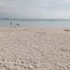 raphaelt37