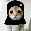 cahh.cilik9