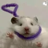 _kiwiikiwi_