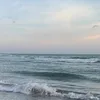 geowhei.gshf