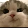 an.cute298