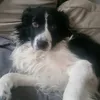 elliewassell34