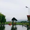 rismaeffendy3