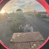 noahjsy