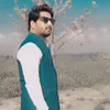 meharmurtza00