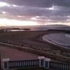 aminedaoud939