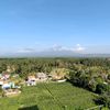 tempegoreng336