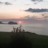 arntxa_grro