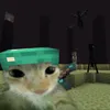 viniciusmeh