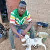 moussa.sangare989