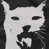 prepuciogatowaton
