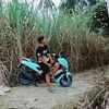 mazirfanz6