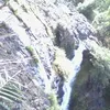 rungroat8