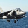 harrier04