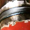 kieu.welder1990