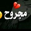 user856815212023