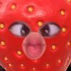 rsyarmdni00