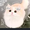 uyen448