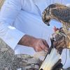 الهاجري ًًًًًَُّ