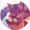_thankthuys2104_
