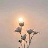 _.wulandari._