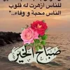 user2498780360523
