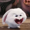 shesodgaiiii