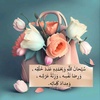 heba_alashry