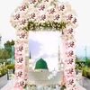 alihussain34387