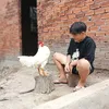 tammu1987az