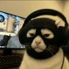 gg_sukri
