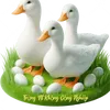 thucphamsachnhanong.vn