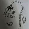 nopales140