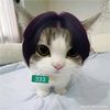 shafrh_